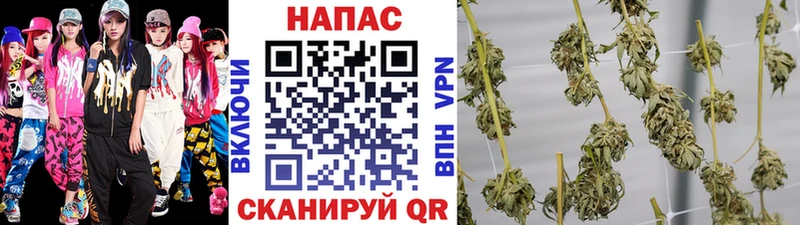 MEGA сайт  Тайга  Конопля SATIVA & INDICA  хочу  